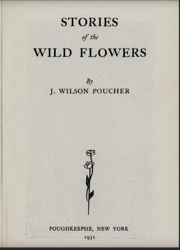 Poucher Wildflowers Cover